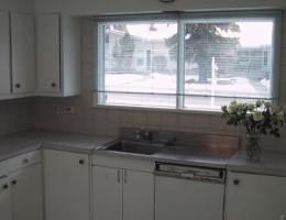 The_original_sink_+_dishwasher_unit