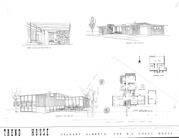 RUL_13A_77.56_53T72_trendhouse_illustrations