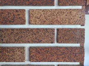 Detail of the Claybank brick used in the Calgary Trend House